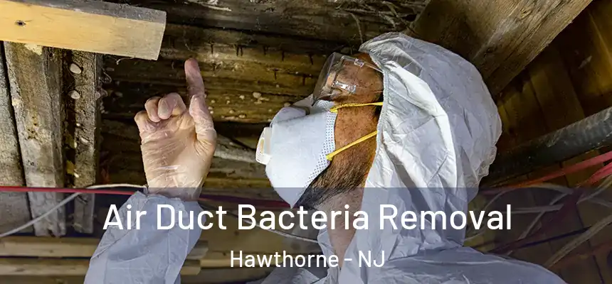  Air Duct Bacteria Removal Hawthorne - NJ