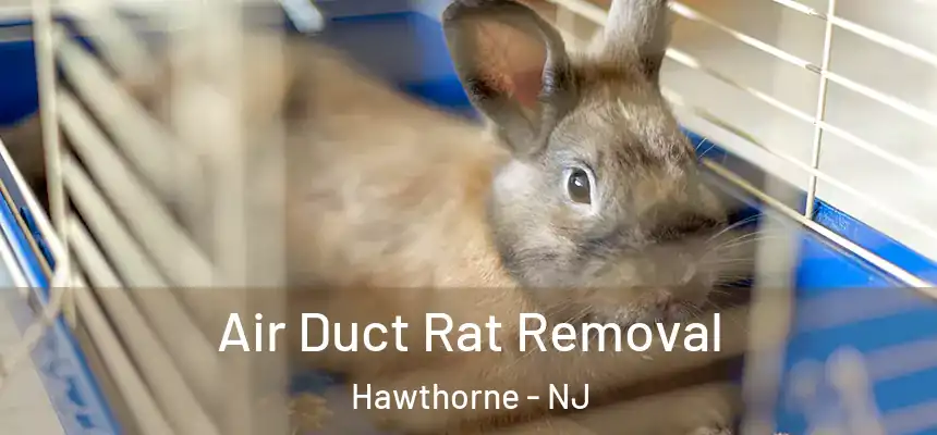  Air Duct Rat Removal Hawthorne - NJ