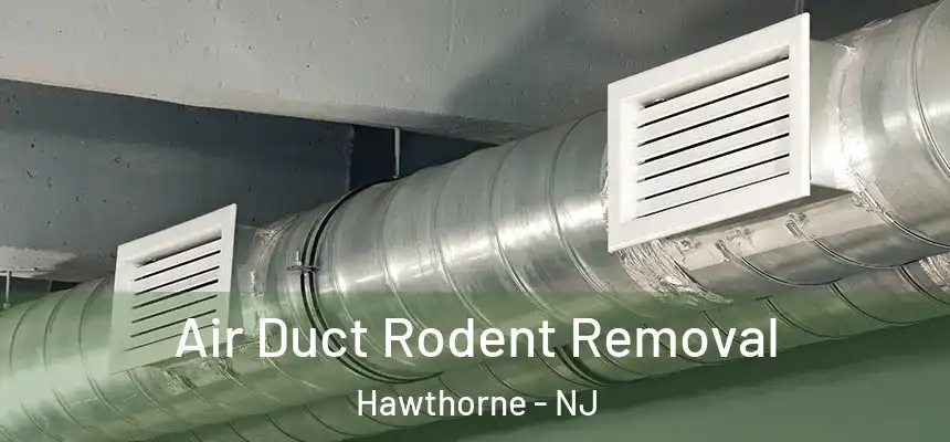 Air Duct Rodent Removal Hawthorne - NJ