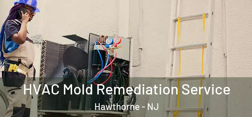 HVAC Mold Remediation Service Hawthorne - NJ