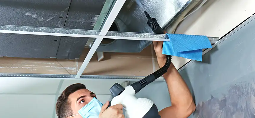 Our Air Duct Rodent Removal Services in Hawthorne, NJ