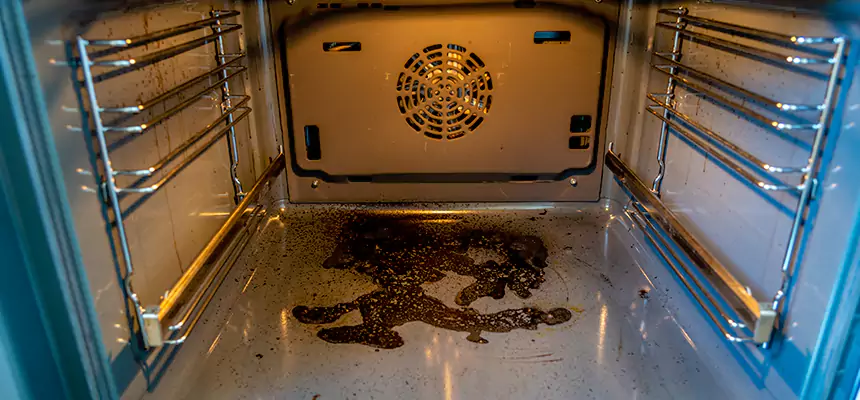 Our Dryer Vent Mold Cleaning Services in Hawthorne, NJ