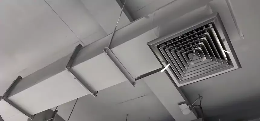 Our Pest Removal From Ducts Services in Hawthorne, NJ