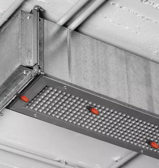 Affordable Insect Removal from Air Ducts in Hawthorne, NJ