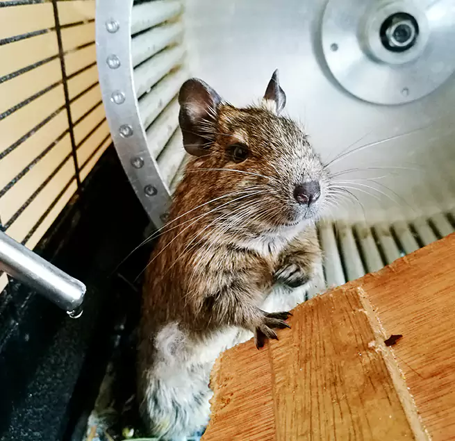 Why Homeowners & Businesses Trust Us Hawthorne, NJ